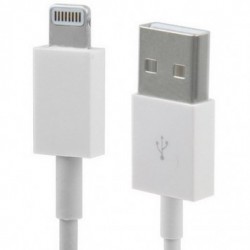 Cordon USB chargement/synchronisation USB / iPhone 5/6 - iPad Mini - New iPad - 2m