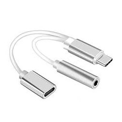 Adaptateur USB Type-C Mâle 2 en 1 / jack 3,5mm Fem + USB Type-C Femelle