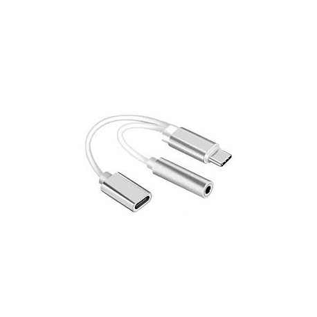 Adaptateur USB Type-C Mâle 2 en 1 / jack 3,5mm Fem + USB Type-C Femelle