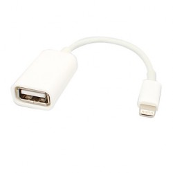 Adaptateur OTG USB / iPhone 5 - iPad Mini - New iPad