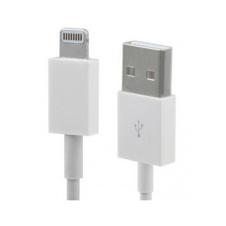 Cordon USB chargement/synchronisation USB / iPhone 5/6 - iPad Mini - New iPad - 2m